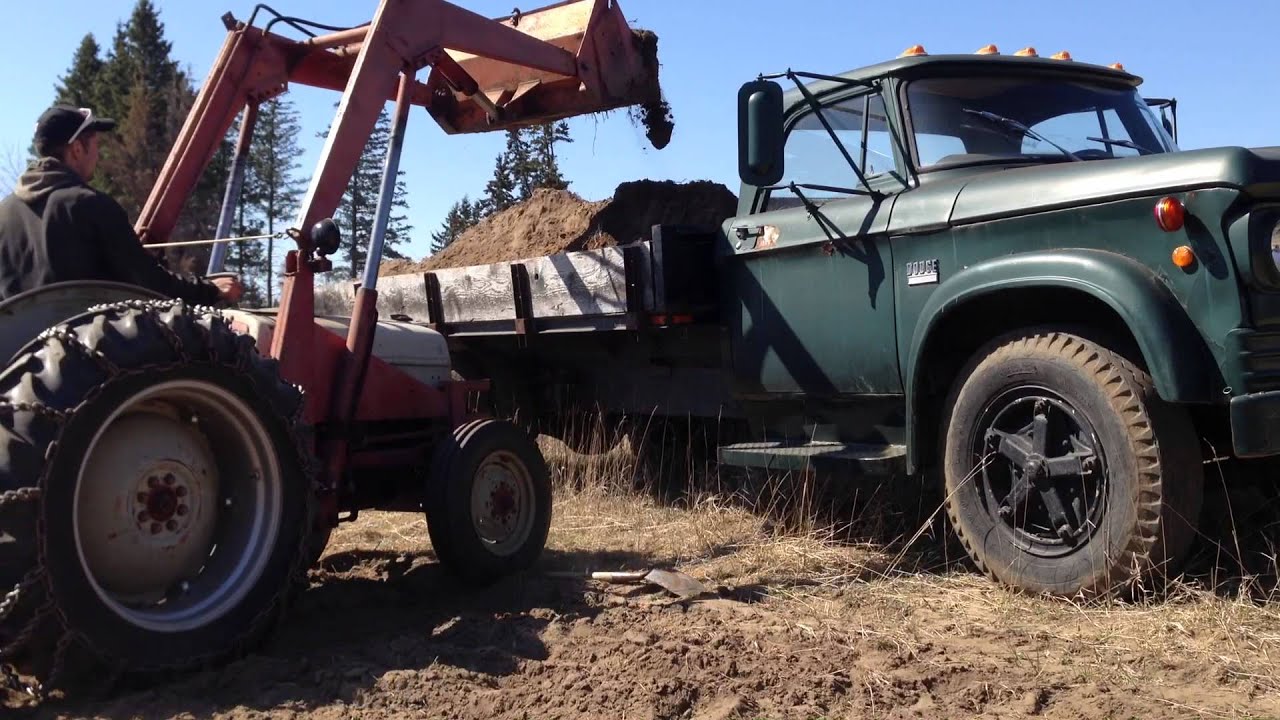 Ford 8n loading 1969 Dodge D-500 Dump Truck