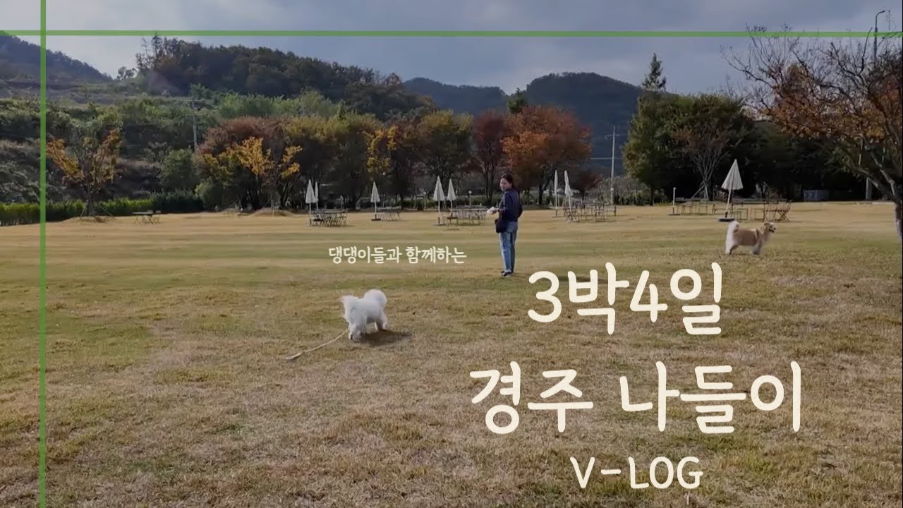 3박4일 경주 나들이 (with 댕댕이들)