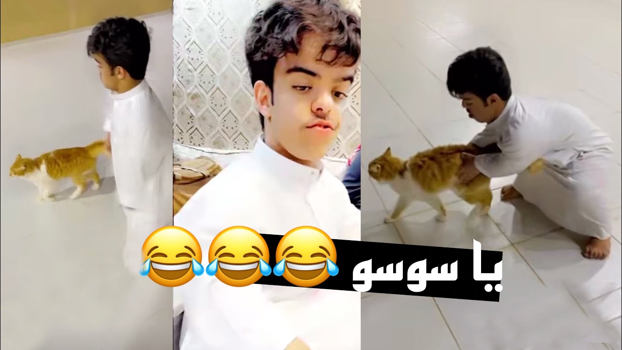 شوفوا قطوة ابو محاله سوسو😂😂😂|| لايفوتكم الضحك مع عماد وابومحاله