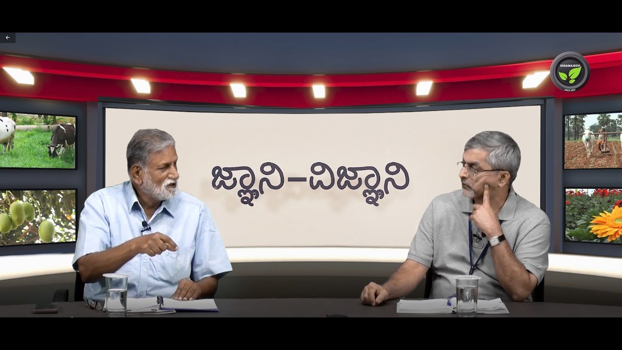 ಶುಂಠಿಗೆ ಭೂಮಿ ಮತ್ತು ಮಡಿ ತಯಾರಿ, ಬೀಜೋಪಚಾರ - ಡಾ. ವೇಣುಗೋಪಾಲ|Land Preparation and Seed Treatment in Ginger