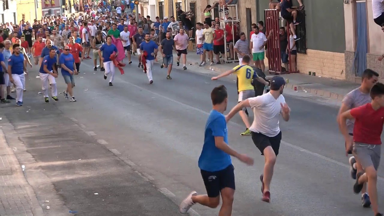 ENCIERROS DE TOROS DE  ( ÍSSO )  ALBACETE   28 /7/ 2019