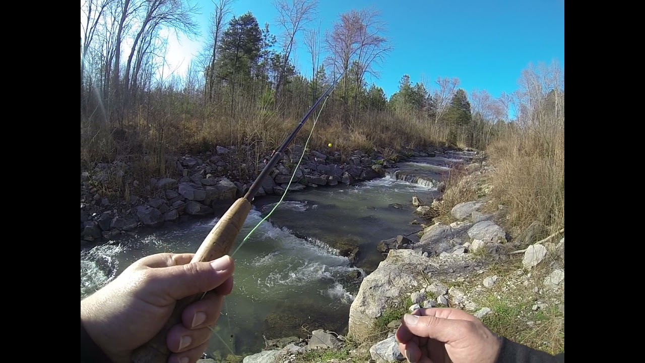 Fly fishing for trout hatchery creek