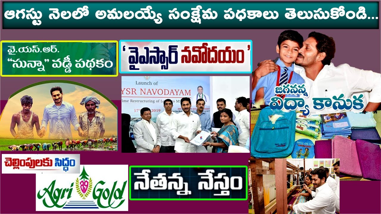 ఆగస్టులోని పథకాలు | ap upcoming august month schemes updates 2021| vidya kanuka kits,agrigold amount