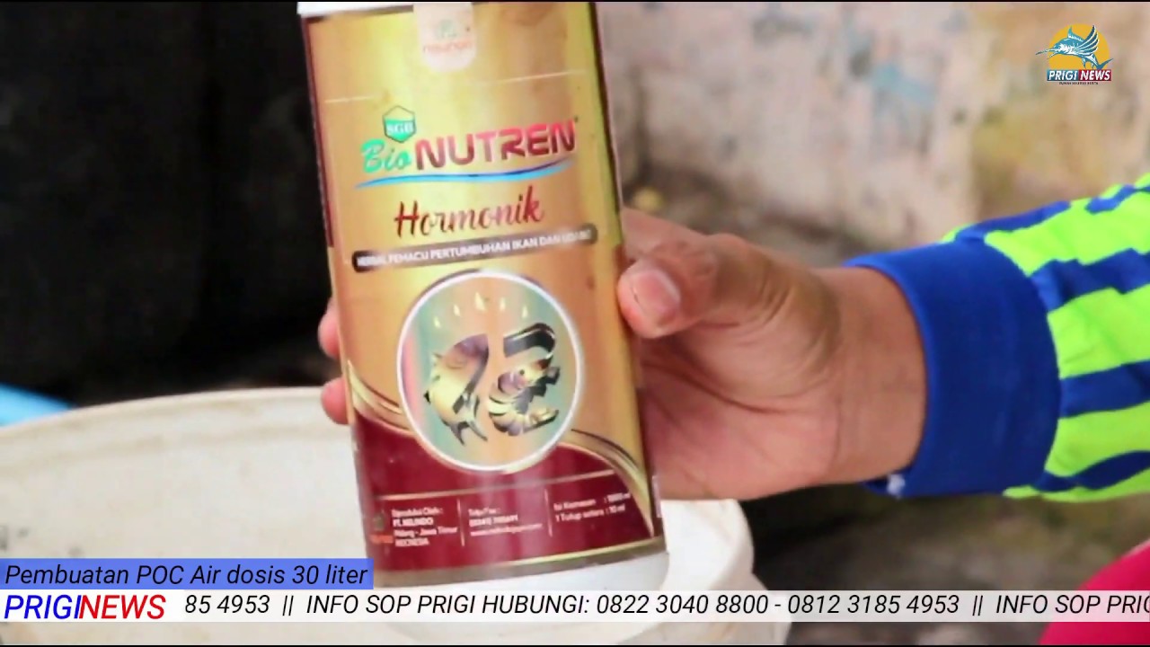CARA MEMBUAT POC AIR| SOP PRIGI
