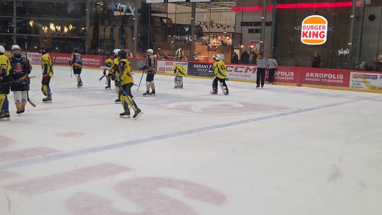 HC KLAIPEDA  ŠIAULIŲ  ŠAULYS  2/3