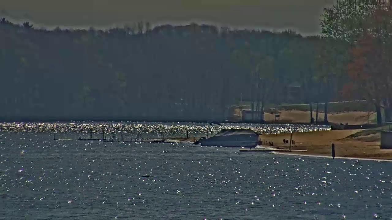 Sandy Pines | Boat Launch Lake View Live Stream