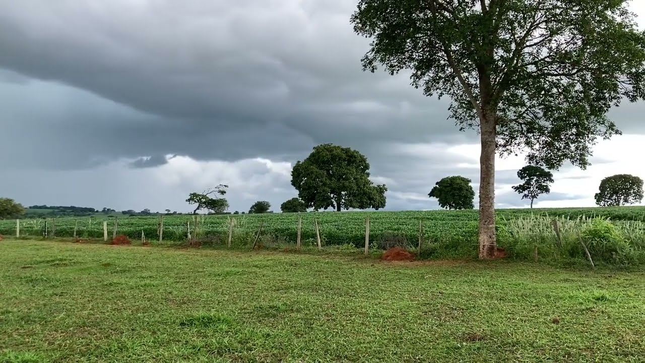 Muita chuva na fazendinha 🙏Obrigado senhor 👨‍🌾🙌
