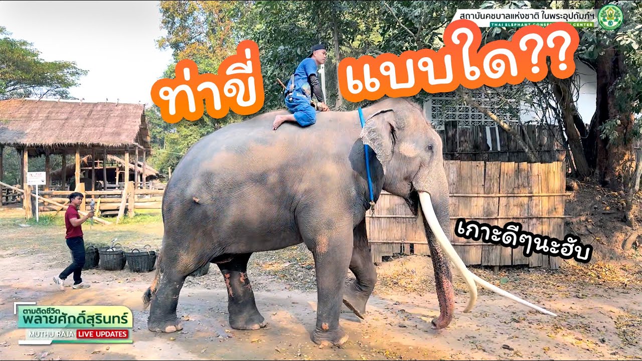 ตามติดชีวิต #พลายศักดิ์สุรินทร์ 4 ก.พ. 2568 แอดมินครบทีม สาระเอาไว้ทีหลัง ความไปเรื่อยต้องมาก่อน