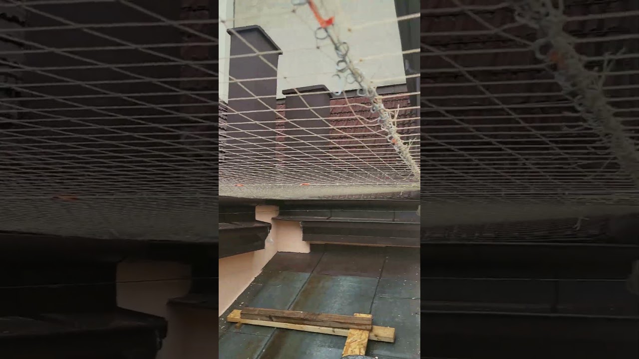 Montaż siatki antyptakowej, zadzwoń I zamów usługę tel. 607606036, więcej na www.praceekstremalne.pl