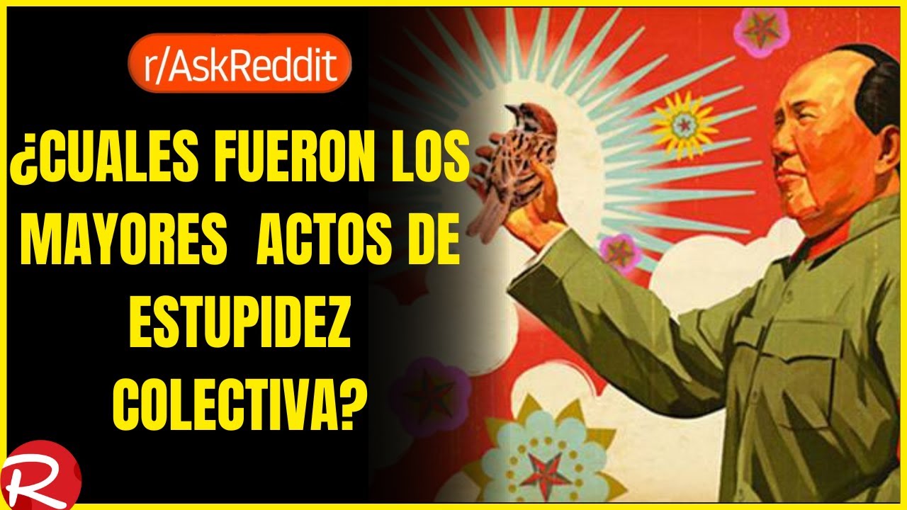 ¿Cuáles fueron los mayores actos de estupidez colectiva? Reddit español, posts de Reddit.