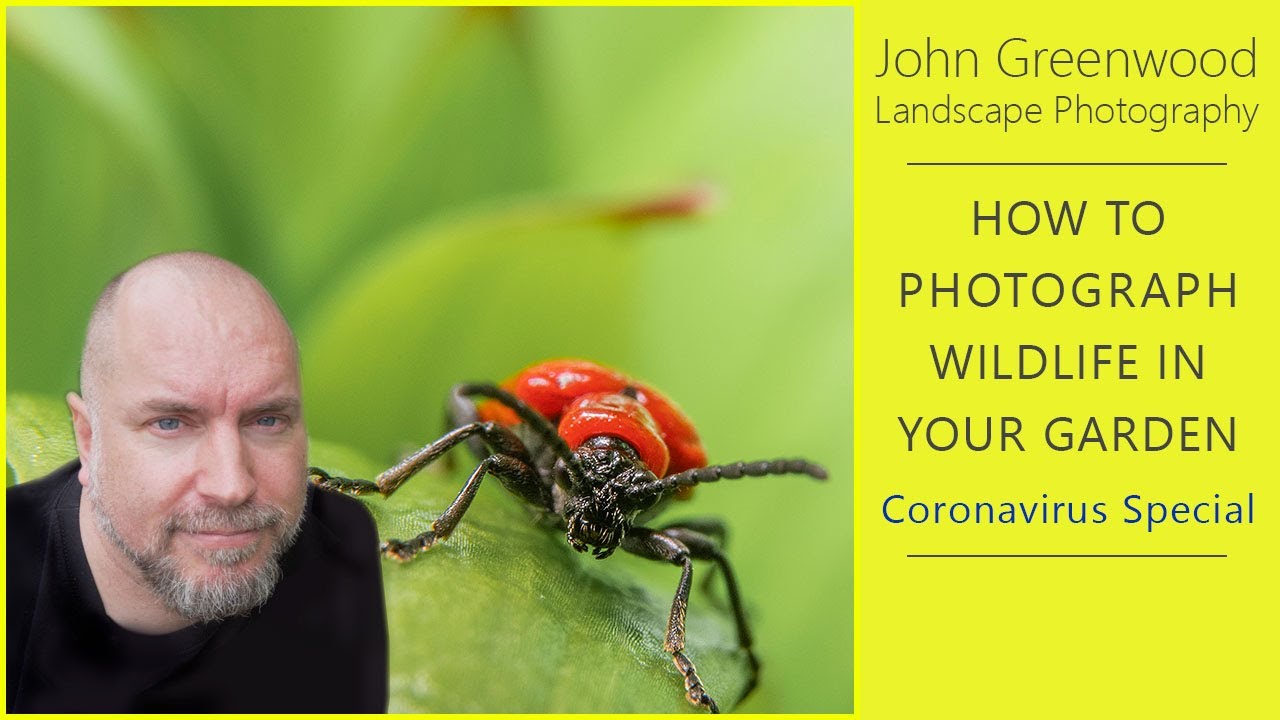 How to photograph flowers and wildlife in your garden (#StayHome #WithMe) | Flower Photography