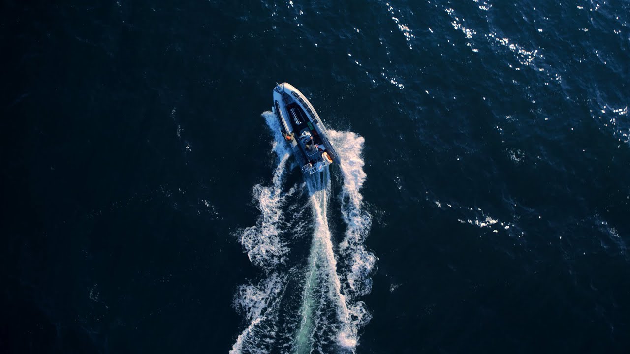 See the Unseen with Alexander Semenov