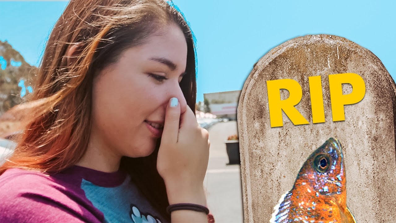 We killed our friend...