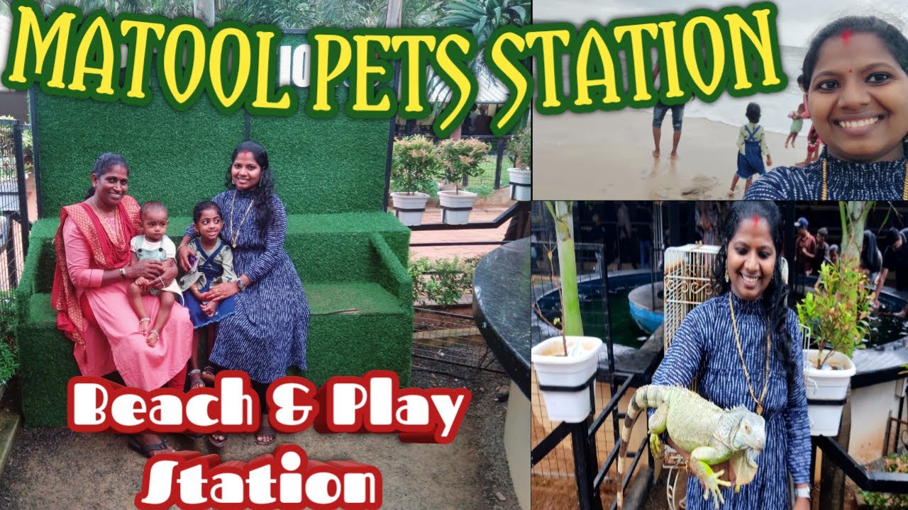 മാട്ടൂൽ Pets Station പോയാലോ। കുട്ടികളുമൊത്ത് പോകാൻ പറ്റിയ ഇടം। Matool pet's station Kannur