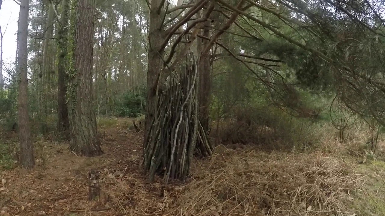 I made something sticky in the woods