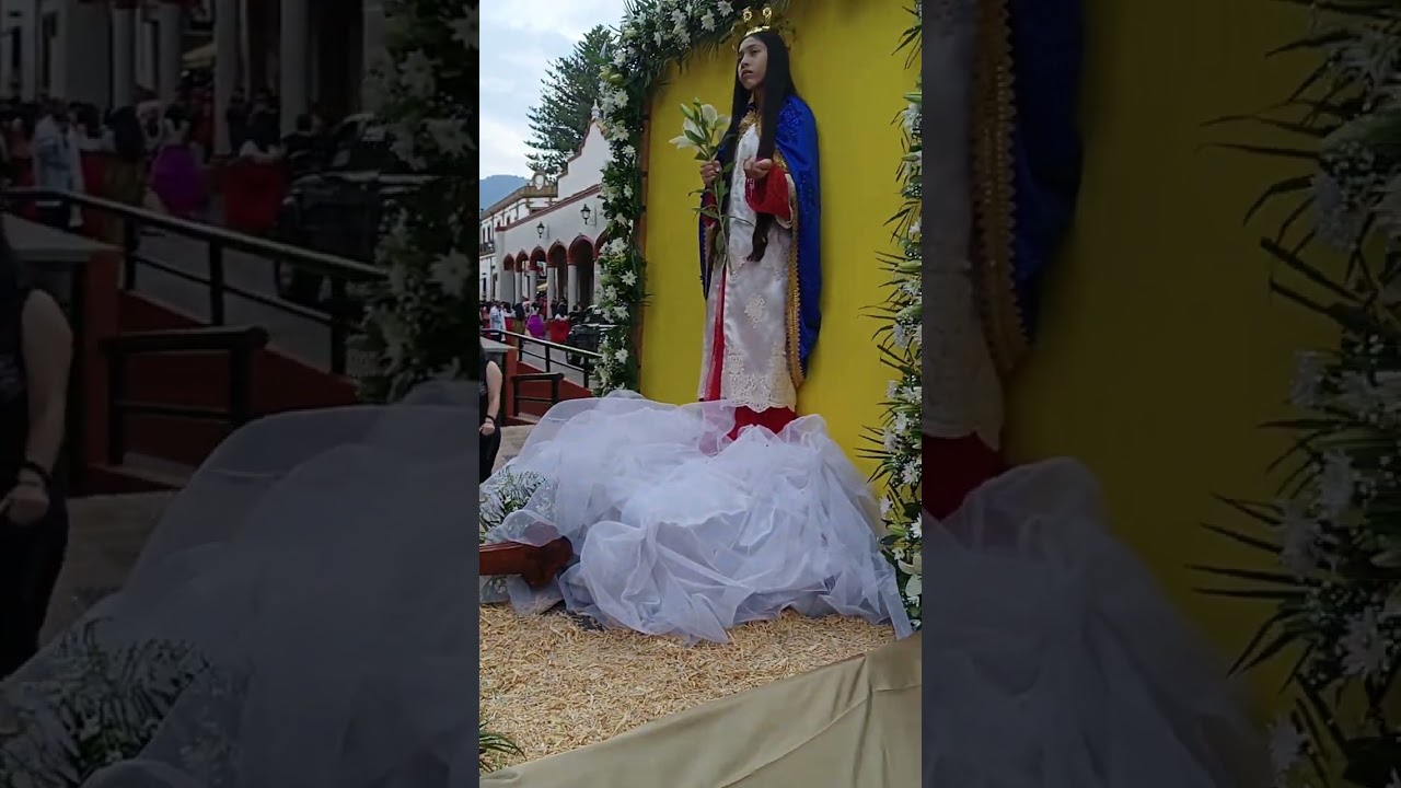 PELEGRINACION DEL BARRIÓ FUERTE Y EL ARENAL 👍😊🙏♥️✌️✨ #viralvideo #parati #internacional #paisanos