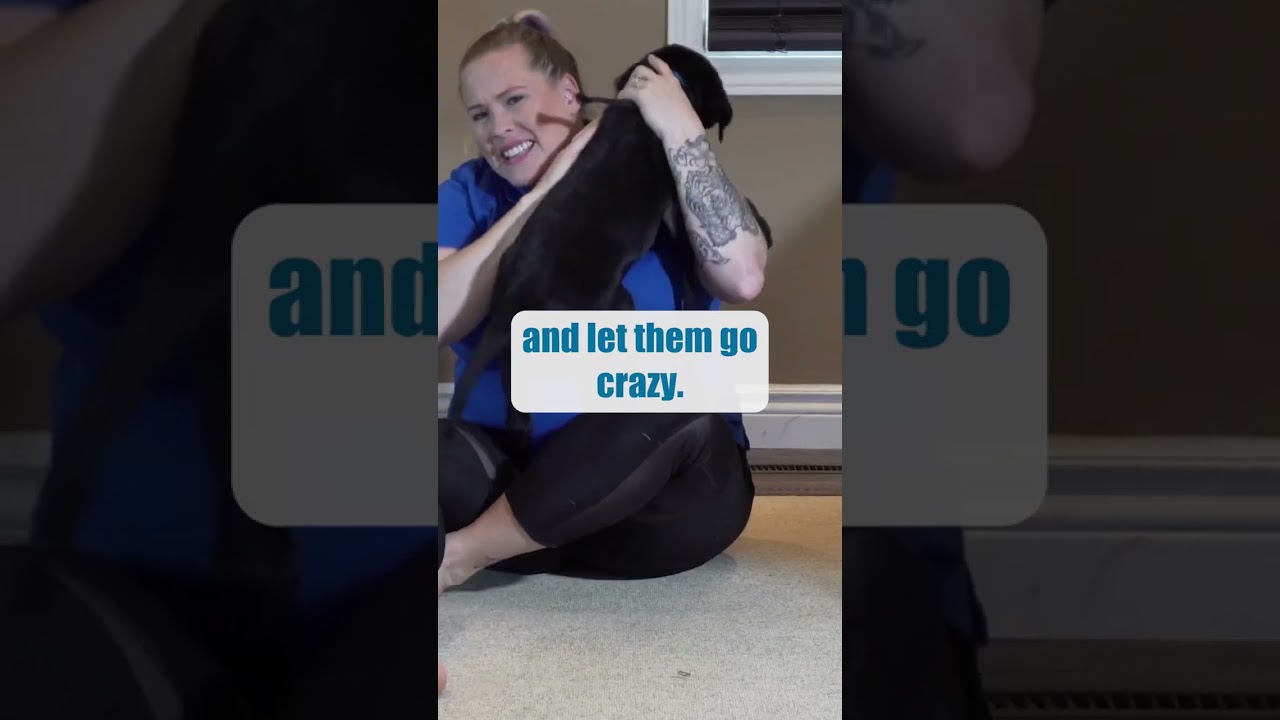 The BIGGEST Puppy Biting Training Mistake