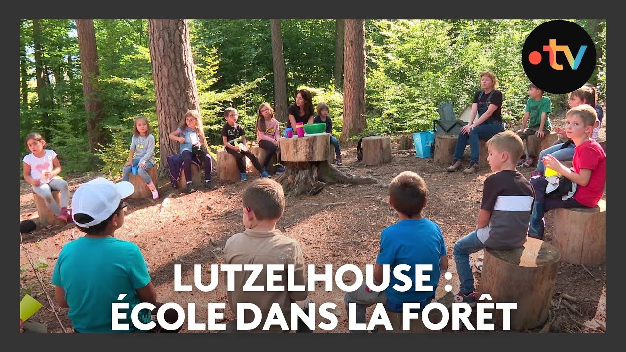 Un lieu, des histoires à Lutzelhouse : école dans la forêt - Episode 2/4