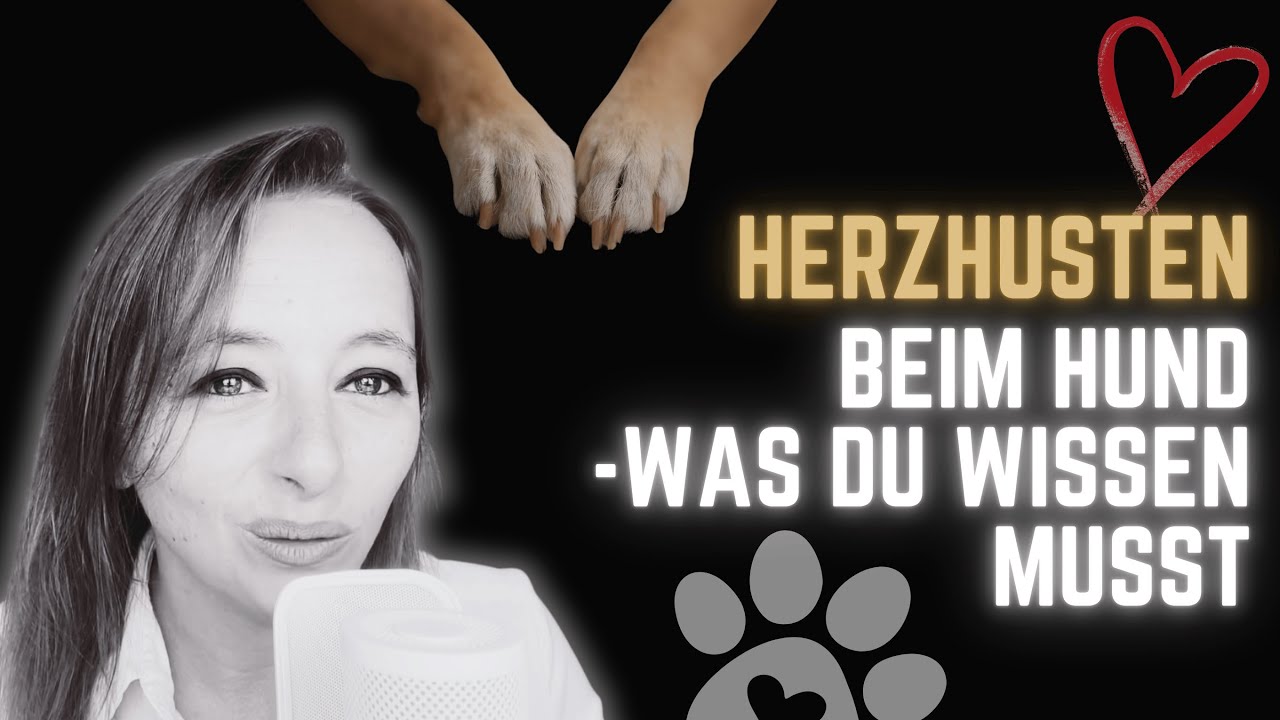 Herzhusten - Wenn dein Hund hustet und versucht auszuwürgen #hundegesundheit #hundewissen