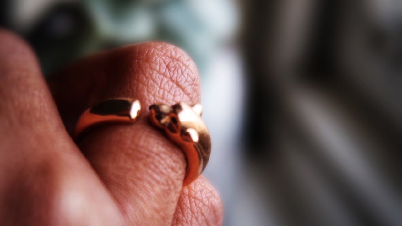 Unboxing│Cartier Panthère ring  + my wishlist
