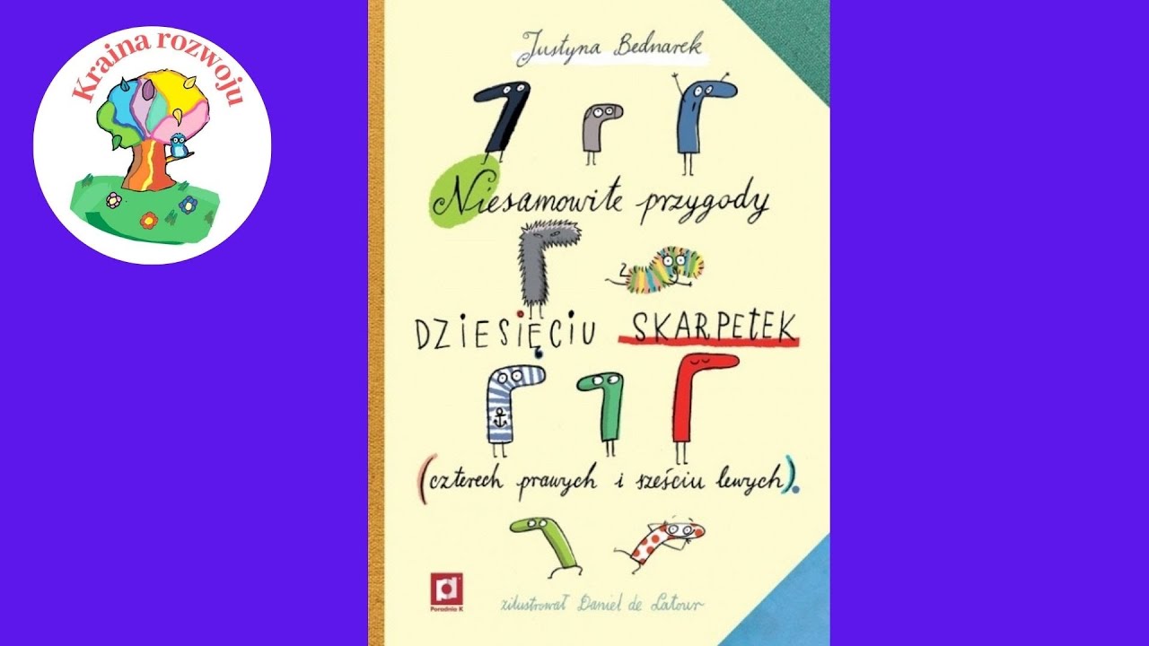 Streszczenie szczeg&oacute;łowe lektury ,,Niesamowite przygody dziesięciu skarpetek