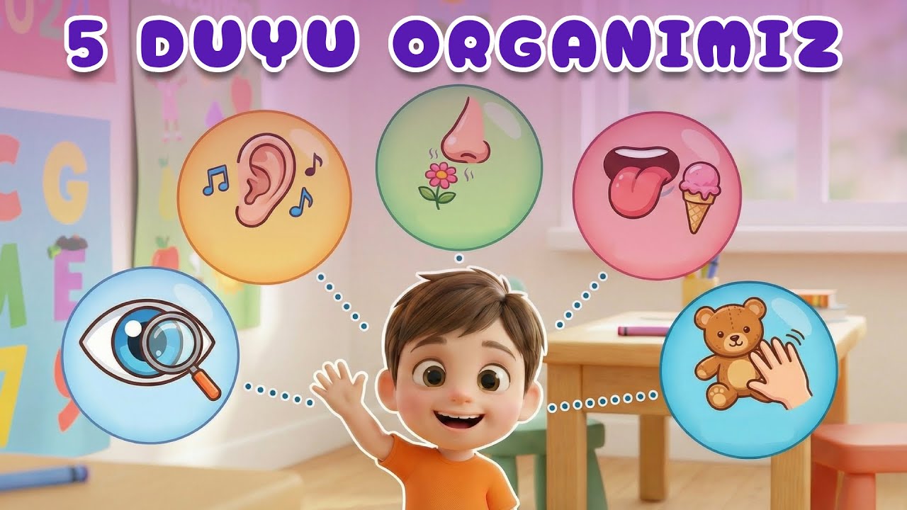 Enso ile 5 Duyu Organımız! Acaba Hangileri?
