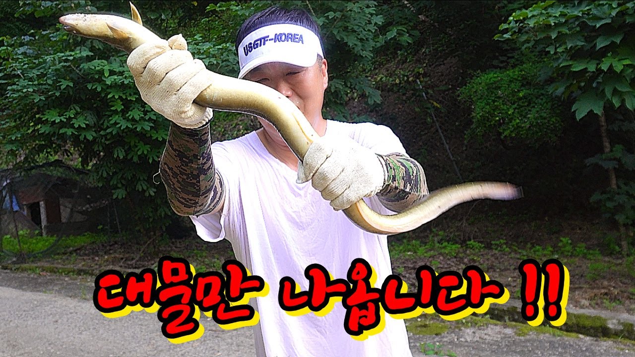 수심 20m에서 끝없이 올라옵니다!!!