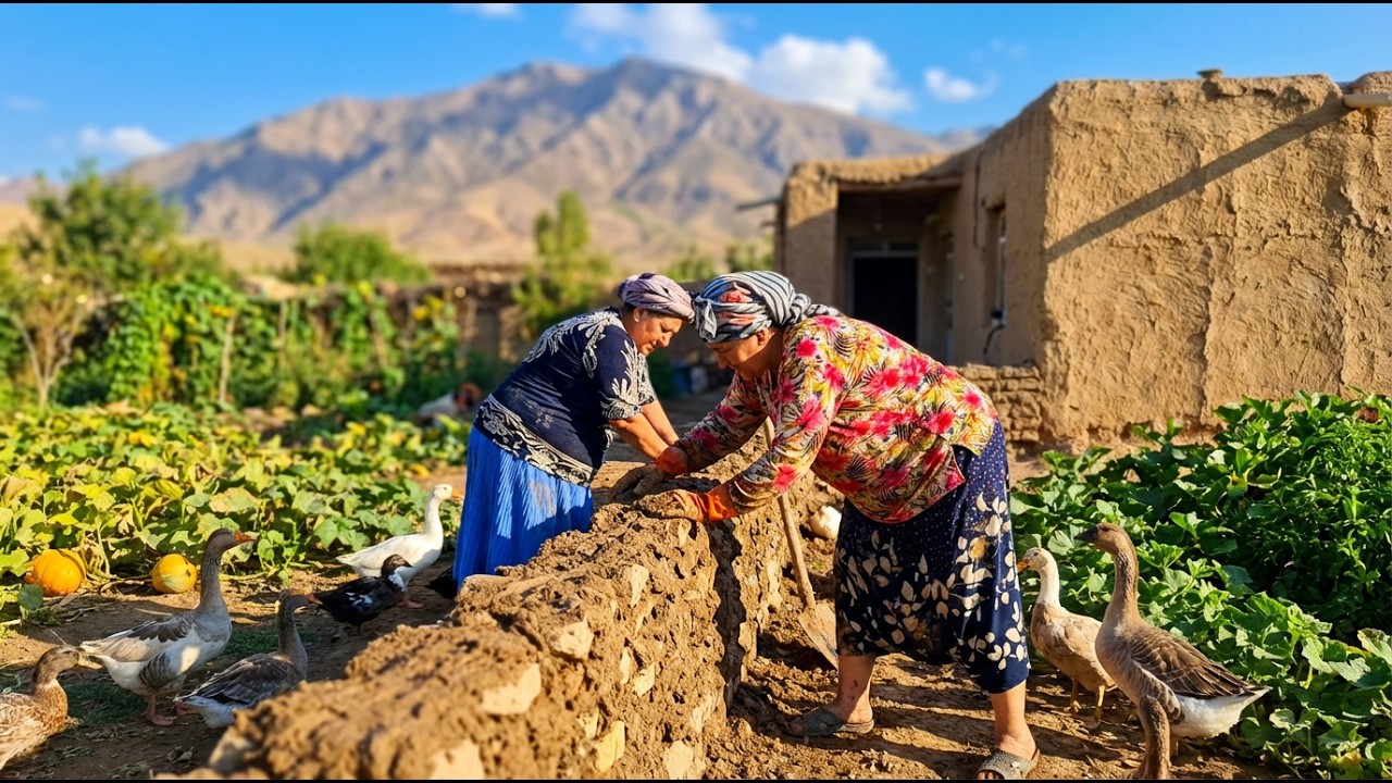 Real Rural Life | Woman Making a Clay Wall Using Natural Materials