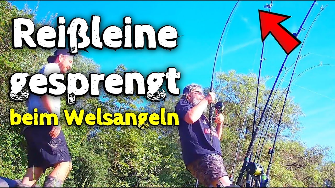 WELS ANGELN mit der richtigen Taktik