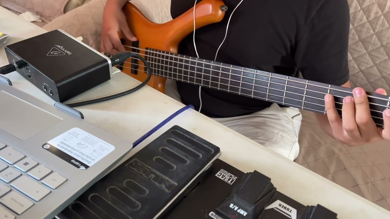 Como búfalo • Bass Cover • 