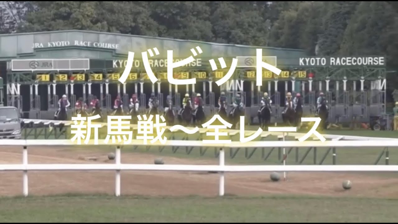 バビット　新馬戦 〜 全レース　一気に見たい！
