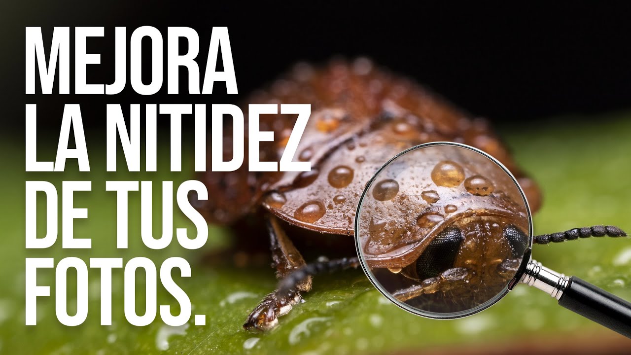 MEJORA LA NITIDEZ DE TUS FOTOS 📷 5 puntos claves para que las fotos queden mucho más nitidas