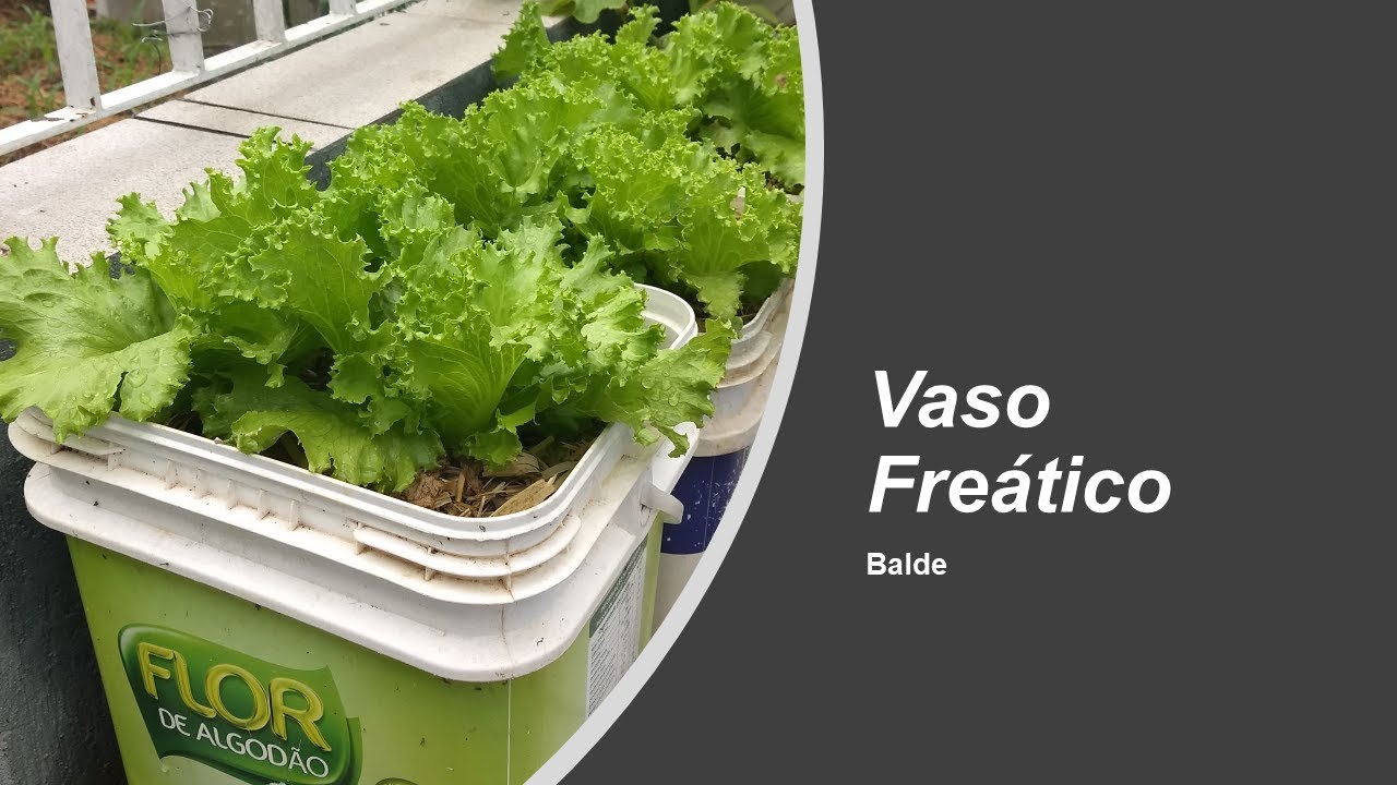 Vaso Freático em Balde Plástico - Auto Irrigável - Parte 2 de 3