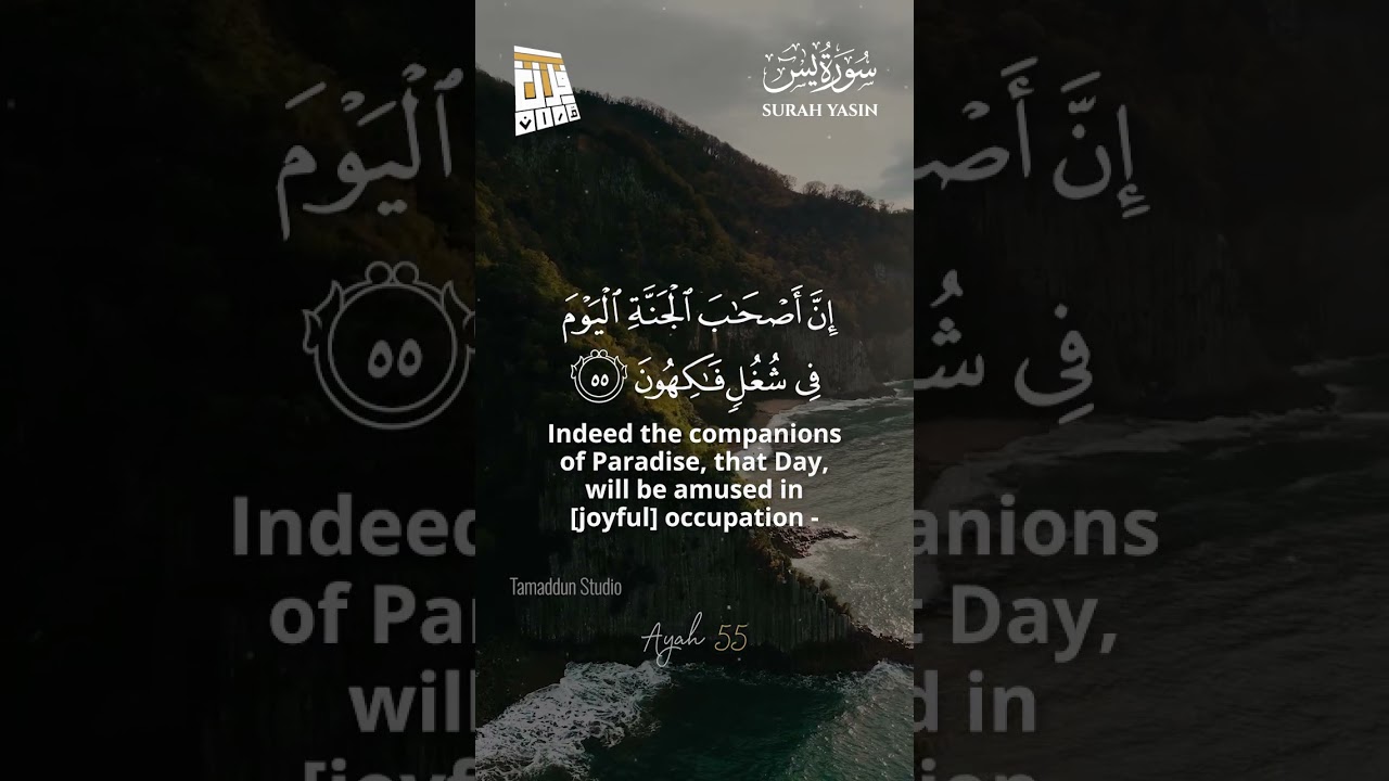 Surah Yasin سورة يس | Ayah (53-59) | Tamaddun Studio #QuranRecitation #surahyasin #yaseen #shorts