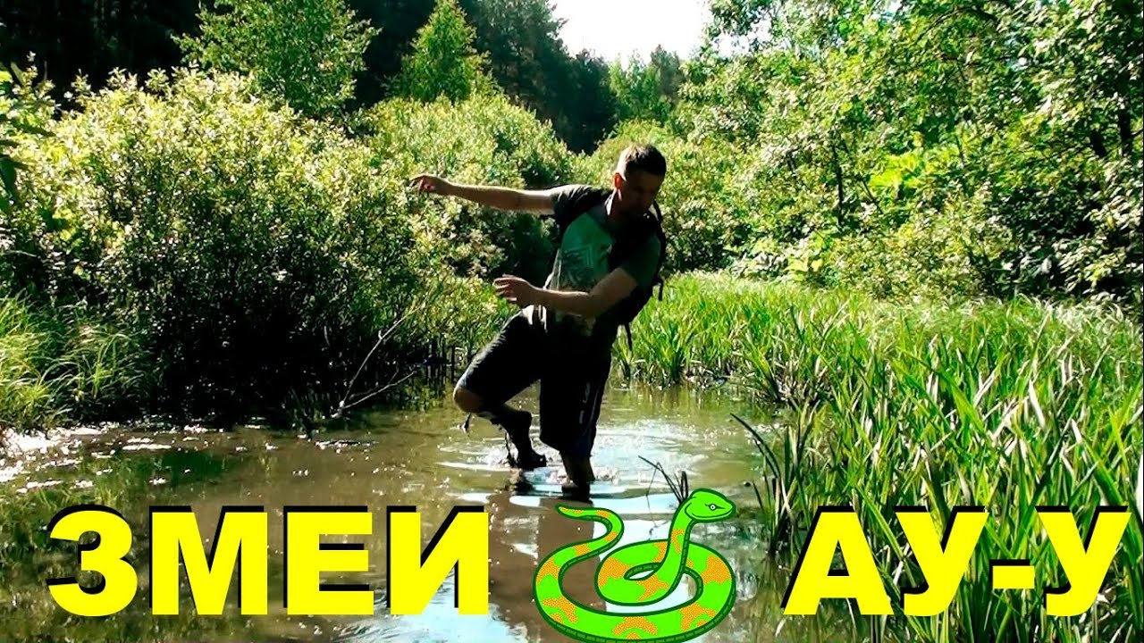 В ДИКИХ УСЛОВИЯХ. Ищу змей