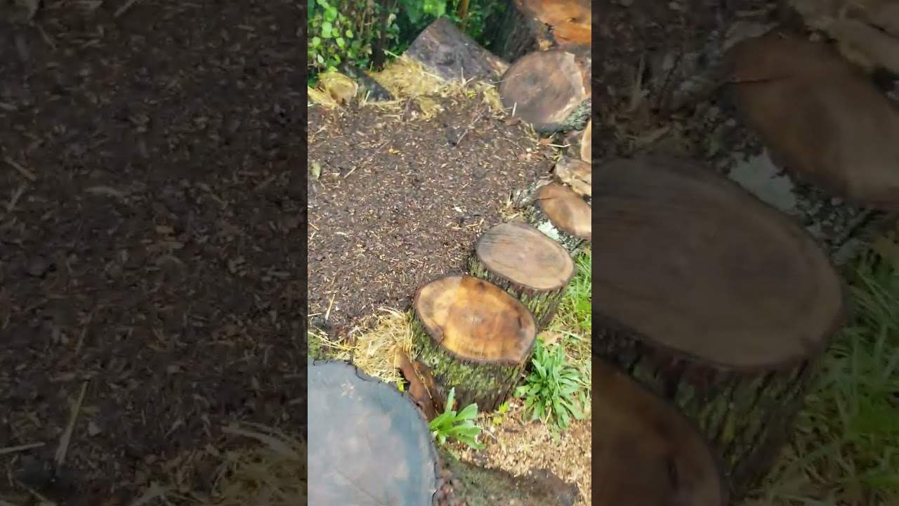 Log Raised Bed Survived First Big Rain Garden Update #garden #diy #gardening #selfsufficiency #yard