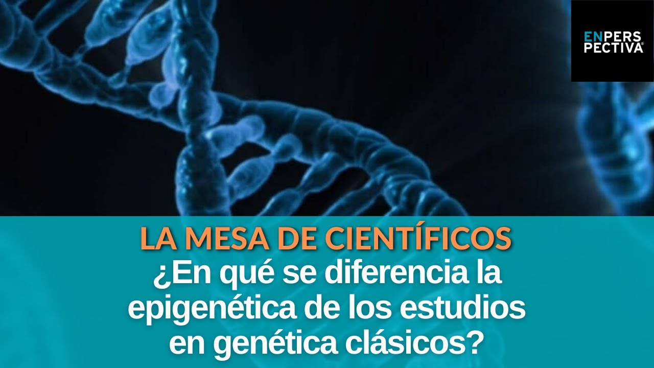 Epigenética: ¿Cómo el estilo de vida y el entorno pueden influir en cómo se expresan los genes?