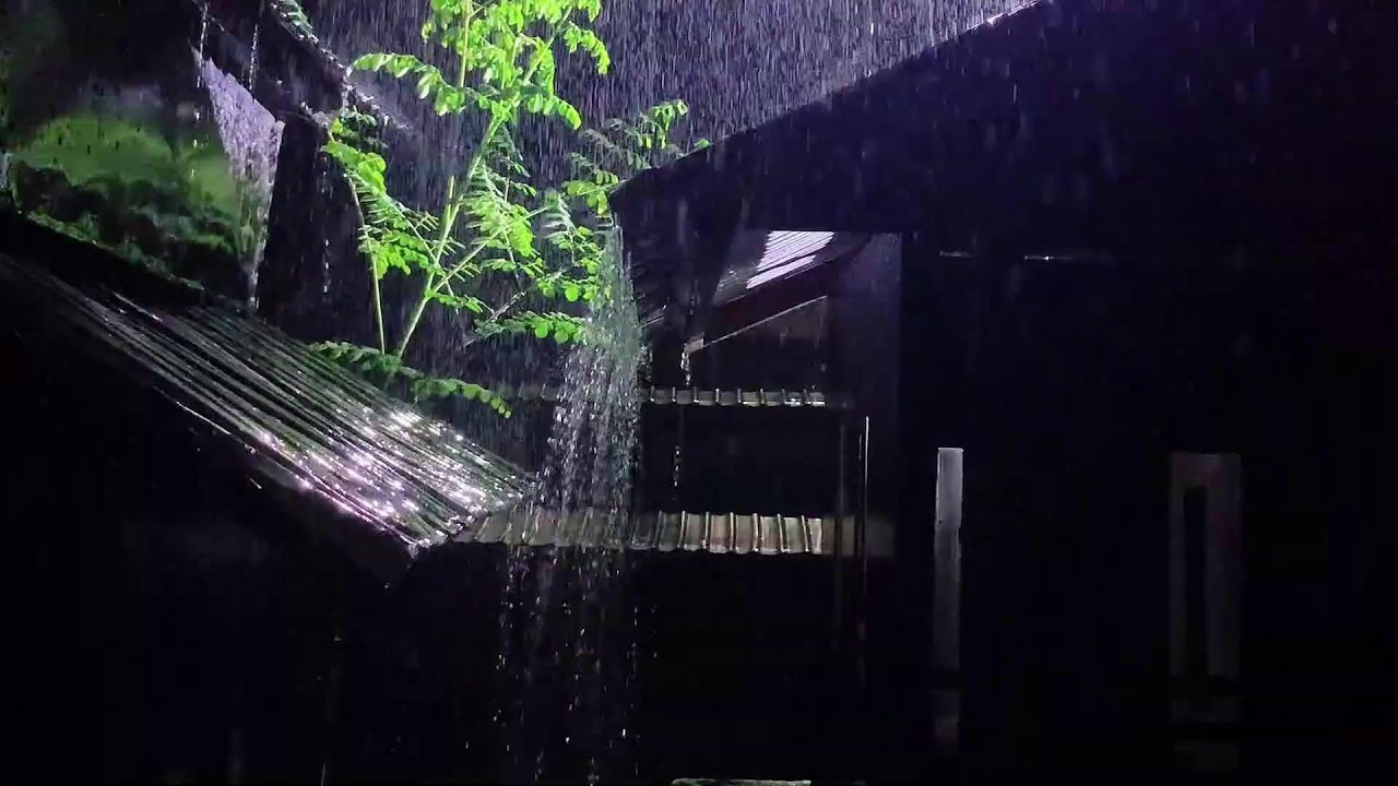 Treat insomnia with heavy rain and strong thunder on the tin roof at night