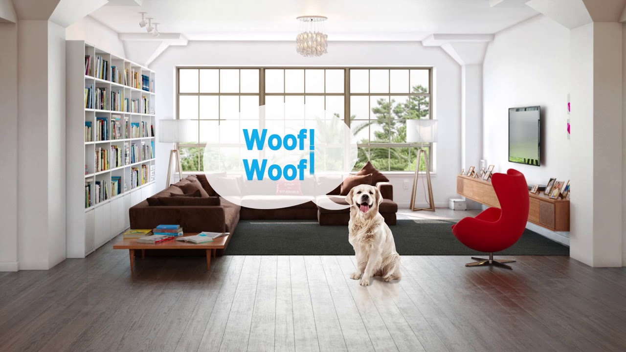 Samsung Smart Security Camera  Demo Video