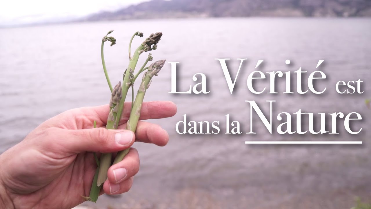 Où trouver des asperges sauvages ?
