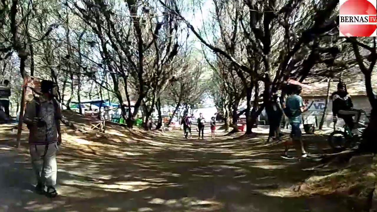 BERNASTV - Masih Pandemi, Pantai Cemara Sewu di Bantul Yogyakarta Mulai Ramai Pengunjung