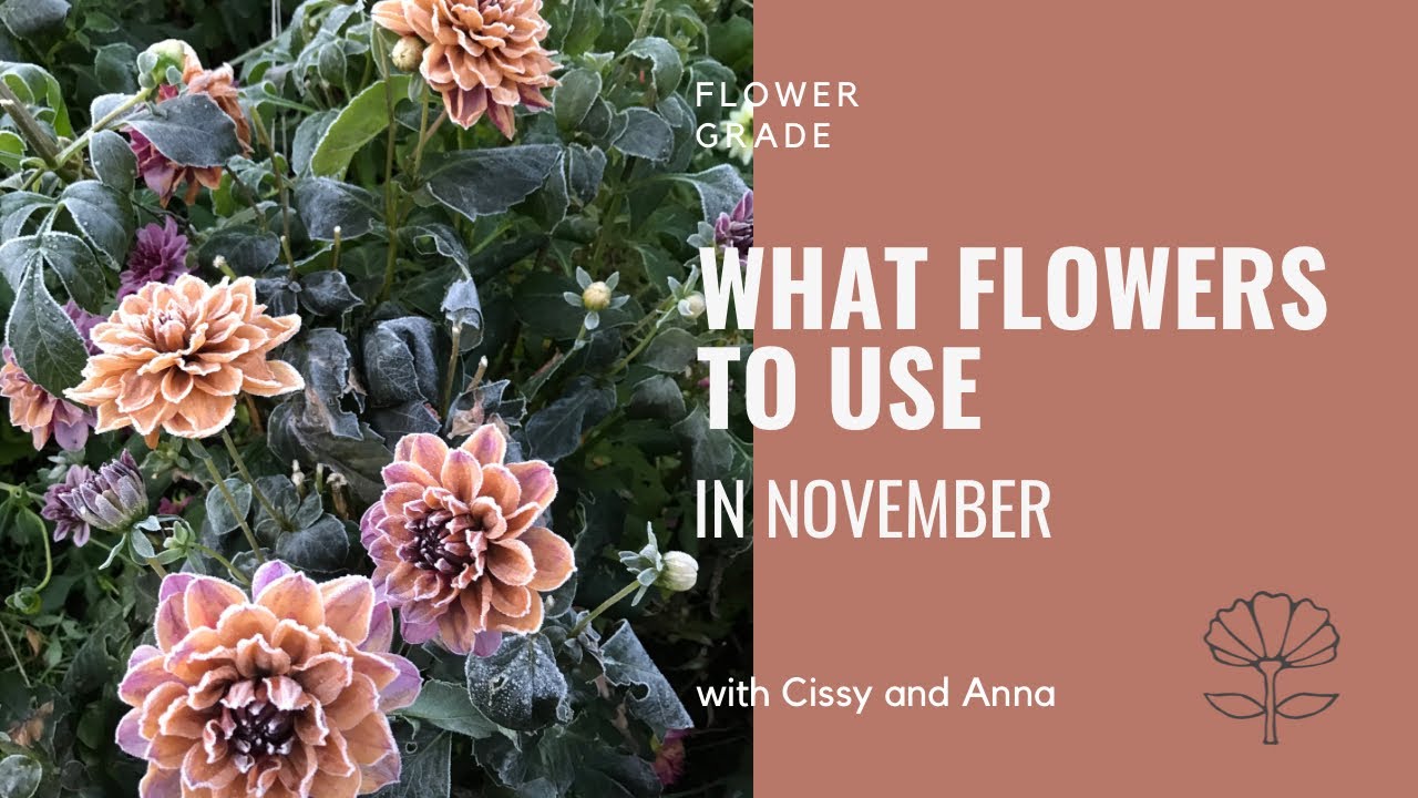 What flowers to use in November