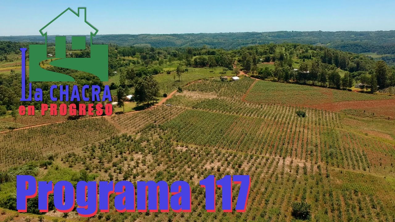 La Chacra en Progreso - Programa 117