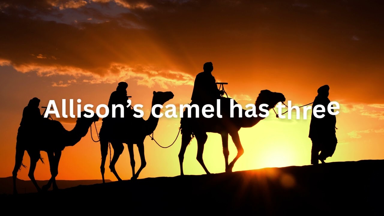 ALISON CAMEL LYRICS