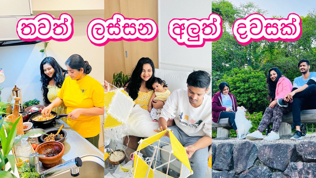 තවත් ලස්සන අලුත් දවසක් 🌸| Day in the life| Meal prep | Life in Japan 🇯🇵