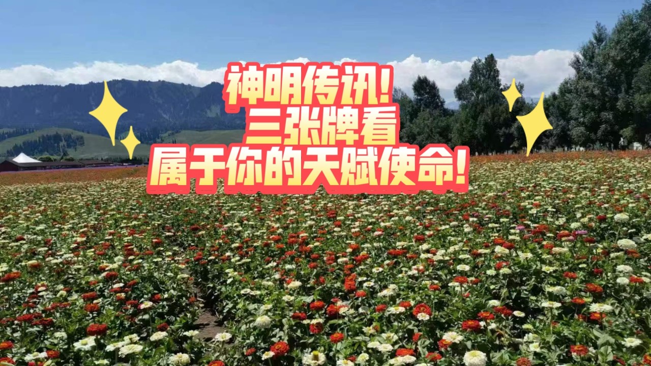 【大众占卜】神明传讯！三张牌看 属于你的天赋使命！（不限时空）