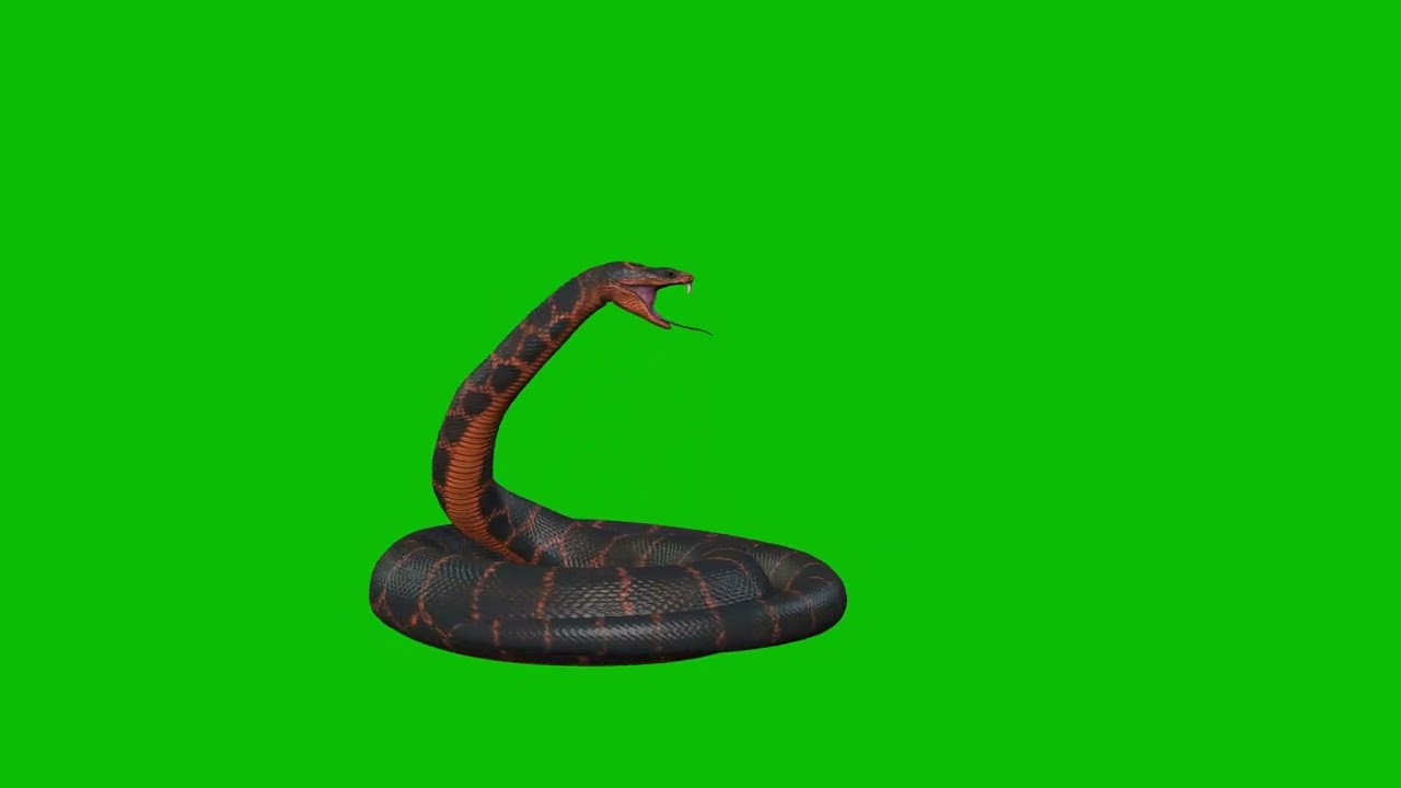 No Copyright Python Snake On Green Screen Effect Animation Video | Snake VFX