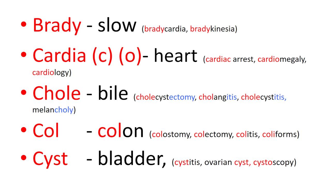 Medical terms 2, Prefixes part 1