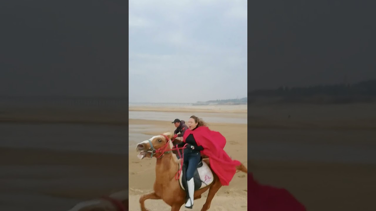 Girl care horse and training horse in beginner