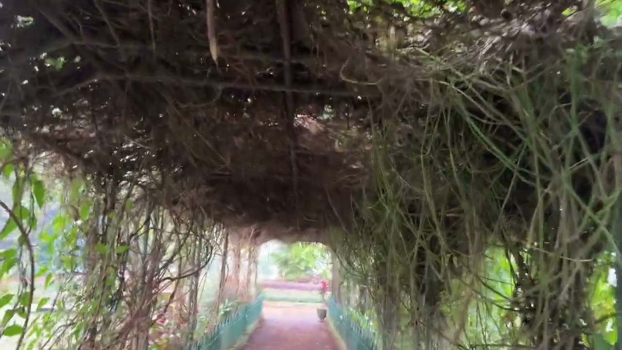 Nature Sounds at Kamla Nehru Park and Garden @ Malabar Hill, Mumbai